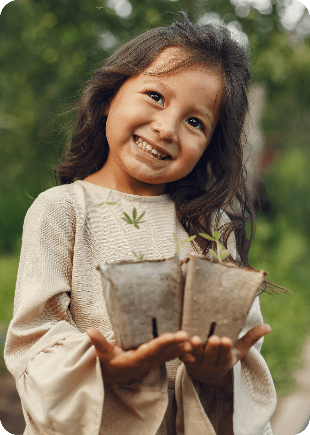 NGO impact