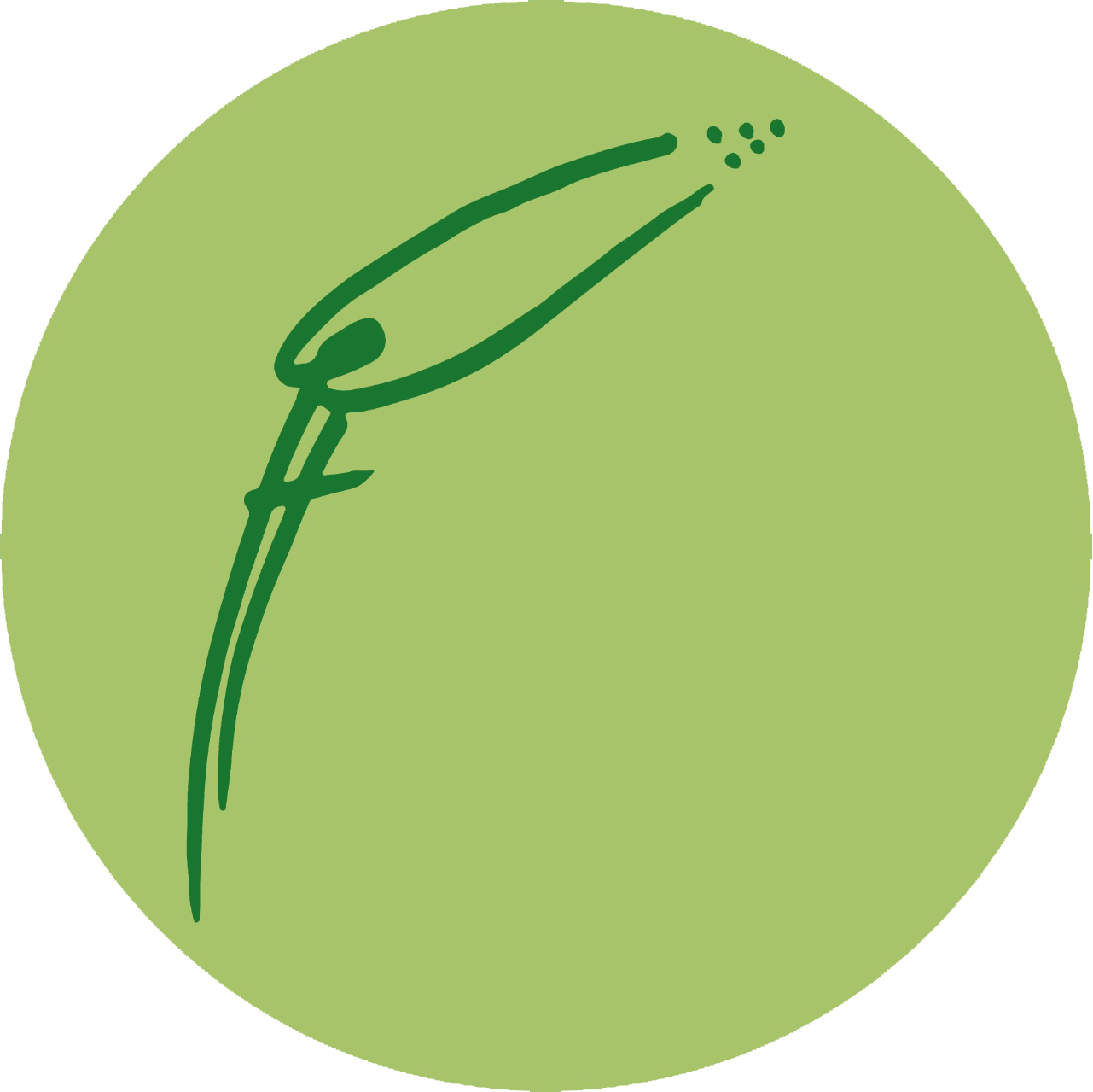 ngo-logo