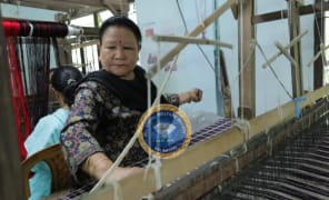 ngo-banner